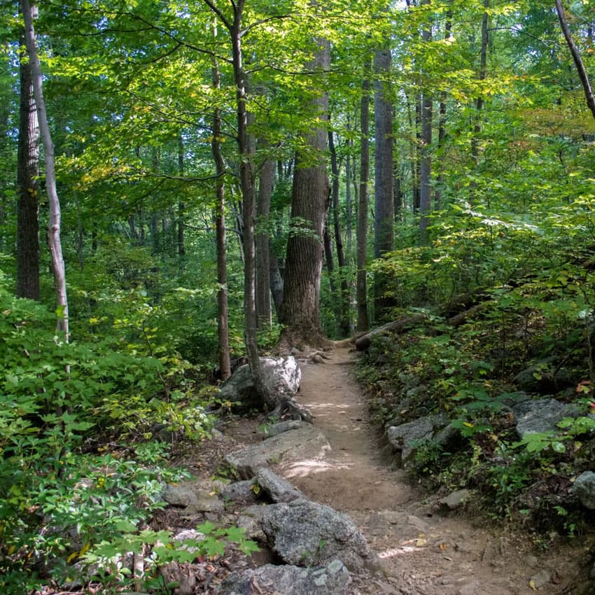 Natural Trial