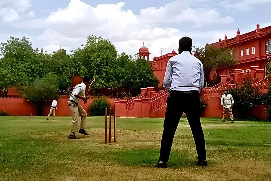 Cricket