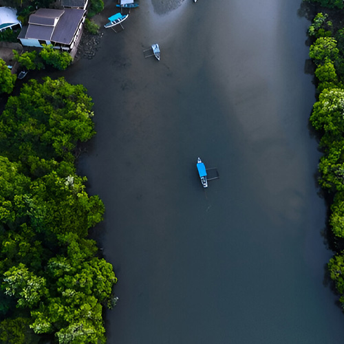 Last-Minute Arrivals