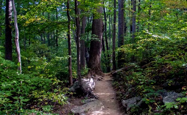 Nature Trail