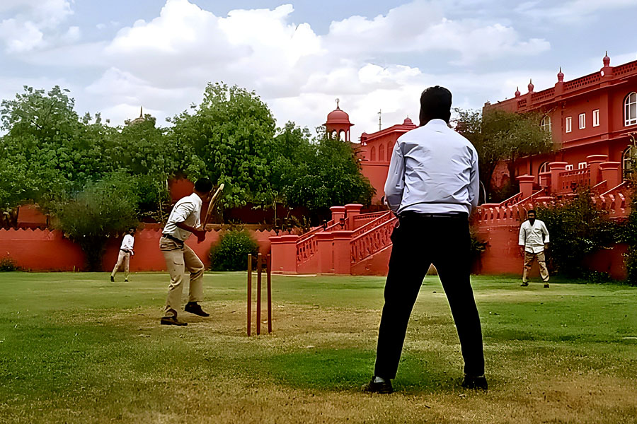 Cricket